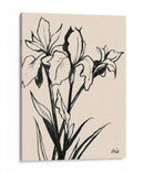 Iris Sketch Iii - Grace Popp | Cuadro decorativo de Canvas Lab