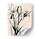 Iris Sketch Iii - Grace Popp | Cuadro decorativo de Canvas Lab