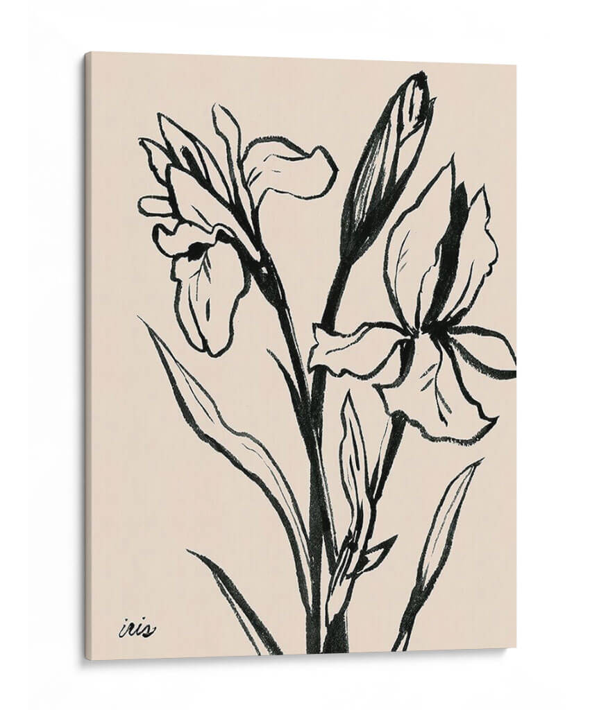 Iris Sketch Iv - Grace Popp | Cuadro decorativo de Canvas Lab