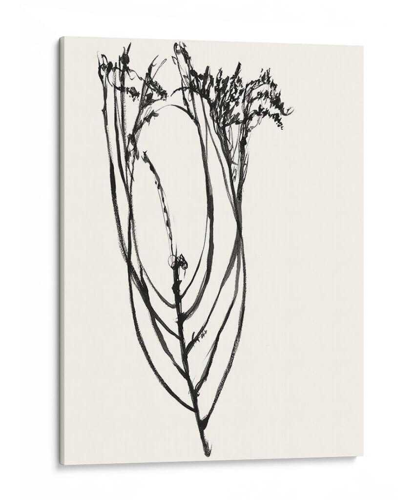 Bosquejo De Flor Ingenuo I - Jennifer Goldberger | Cuadro decorativo de Canvas Lab