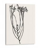 Bosquejo De Flor Ingenuo I - Jennifer Goldberger | Cuadro decorativo de Canvas Lab