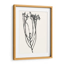 Bosquejo De Flor Ingenuo I - Jennifer Goldberger | Cuadro decorativo de Canvas Lab