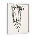 Bosquejo De Flor Ingenuo I - Jennifer Goldberger | Cuadro decorativo de Canvas Lab