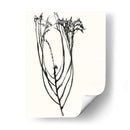 Bosquejo De Flor Ingenuo I - Jennifer Goldberger | Cuadro decorativo de Canvas Lab