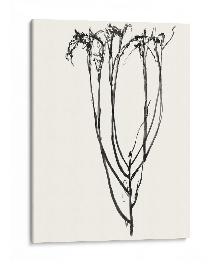 Bosquejo De Flor Ingenuo Ii - Jennifer Goldberger | Cuadro decorativo de Canvas Lab