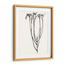 Bosquejo De Flor Ingenuo Ii - Jennifer Goldberger | Cuadro decorativo de Canvas Lab