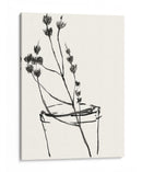 Bosquejo Ingenuo De La Flor Iv - Jennifer Goldberger | Cuadro decorativo de Canvas Lab