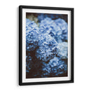 Hortensias azules | Cuadro decorativo de Canvas Lab