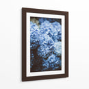 Hortensias azules | Cuadro decorativo de Canvas Lab