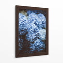 Hortensias azules | Cuadro decorativo de Canvas Lab