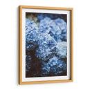 Hortensias azules | Cuadro decorativo de Canvas Lab