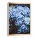 Hortensias azules | Cuadro decorativo de Canvas Lab