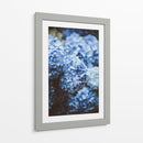 Hortensias azules | Cuadro decorativo de Canvas Lab