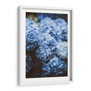 Hortensias azules | Cuadro decorativo de Canvas Lab