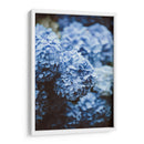 Hortensias azules | Cuadro decorativo de Canvas Lab