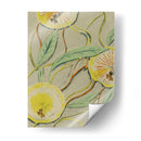 Patrón De Deco Delicado I - Shima Shanti | Cuadro decorativo de Canvas Lab