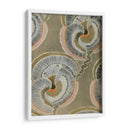 Patrón De Deco Delicado V - Shima Shanti | Cuadro decorativo de Canvas Lab