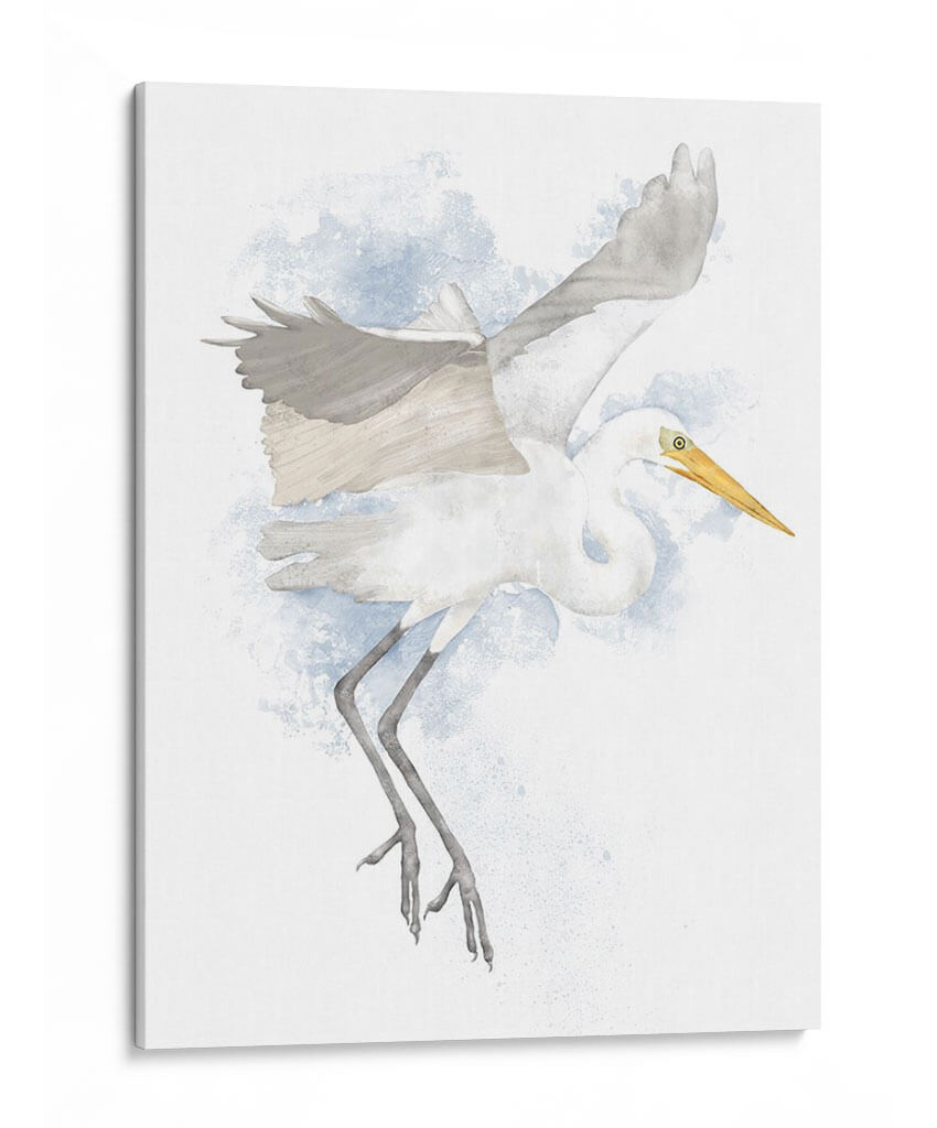 Garza Costera Ii - Jade Reynolds | Cuadro decorativo de Canvas Lab