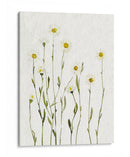 Margaritas Antiguas Blancas I - Gerard Paul Deshayes | Cuadro decorativo de Canvas Lab