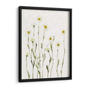 Margaritas Antiguas Blancas I - Gerard Paul Deshayes | Cuadro decorativo de Canvas Lab