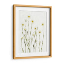 Margaritas Antiguas Blancas I - Gerard Paul Deshayes | Cuadro decorativo de Canvas Lab