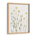 Margaritas Antiguas Blancas I - Gerard Paul Deshayes | Cuadro decorativo de Canvas Lab