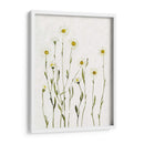 Margaritas Antiguas Blancas I - Gerard Paul Deshayes | Cuadro decorativo de Canvas Lab