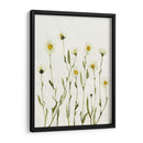 Margaritas Antiguas Blancas Ii - Gerard Paul Deshayes | Cuadro decorativo de Canvas Lab