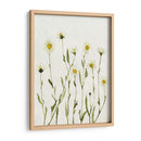 Margaritas Antiguas Blancas Ii - Gerard Paul Deshayes | Cuadro decorativo de Canvas Lab