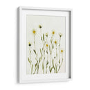 Margaritas Antiguas Blancas Ii - Gerard Paul Deshayes | Cuadro decorativo de Canvas Lab