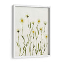 Margaritas Antiguas Blancas Ii - Gerard Paul Deshayes | Cuadro decorativo de Canvas Lab