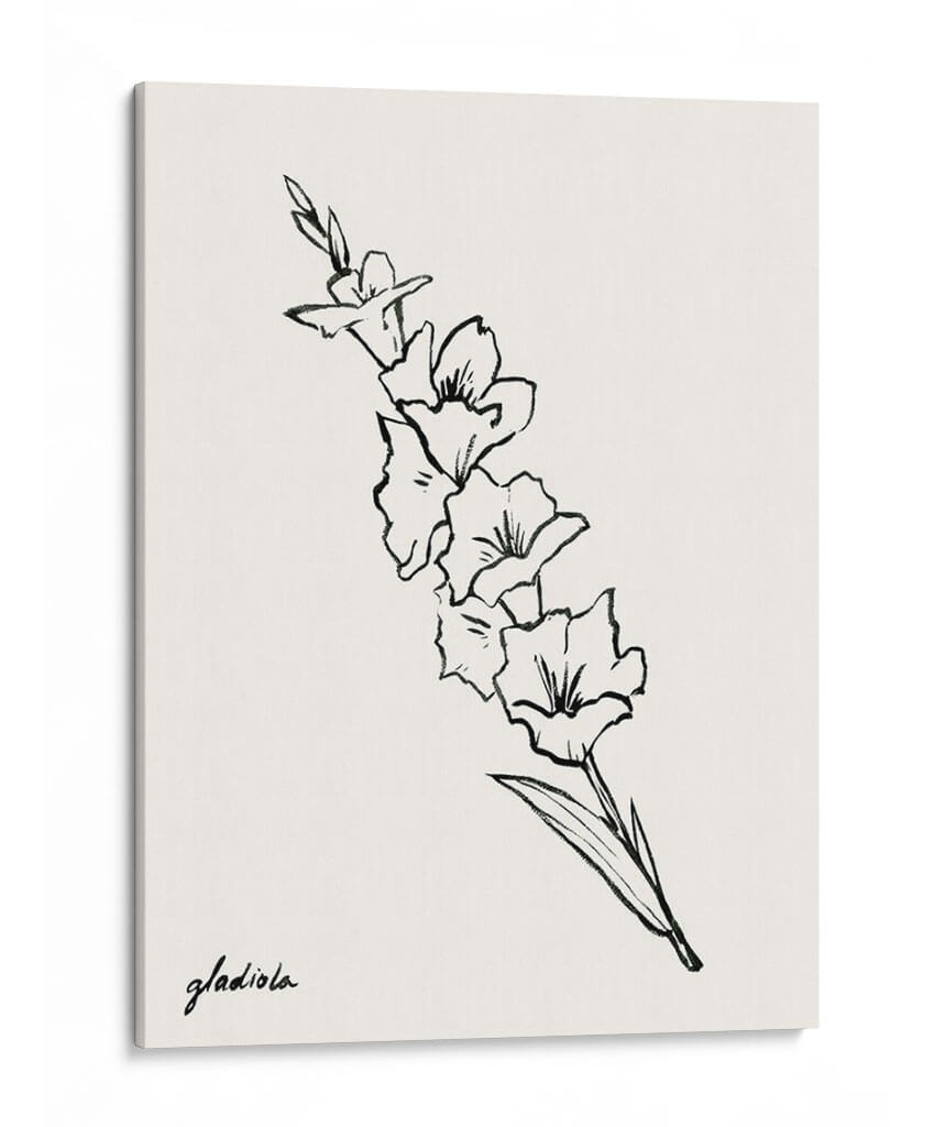 Bosquejo Gladiola I - Grace Popp | Cuadro decorativo de Canvas Lab