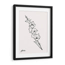 Bosquejo Gladiola I - Grace Popp | Cuadro decorativo de Canvas Lab