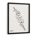 Bosquejo Gladiola I - Grace Popp | Cuadro decorativo de Canvas Lab