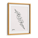 Bosquejo Gladiola I - Grace Popp | Cuadro decorativo de Canvas Lab