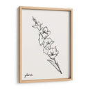 Bosquejo Gladiola I - Grace Popp | Cuadro decorativo de Canvas Lab