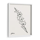 Bosquejo Gladiola I - Grace Popp | Cuadro decorativo de Canvas Lab