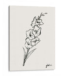 Sketch Ii De Gladiola - Grace Popp | Cuadro decorativo de Canvas Lab