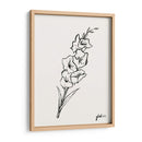Sketch Ii De Gladiola - Grace Popp | Cuadro decorativo de Canvas Lab