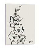 Bosquejo Gladiola Iii - Grace Popp | Cuadro decorativo de Canvas Lab