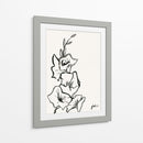 Bosquejo Gladiola Iii - Grace Popp | Cuadro decorativo de Canvas Lab