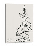 Gladiola Sketch Iv - Grace Popp | Cuadro decorativo de Canvas Lab