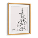 Gladiola Sketch Iv - Grace Popp | Cuadro decorativo de Canvas Lab