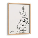 Gladiola Sketch Iv - Grace Popp | Cuadro decorativo de Canvas Lab