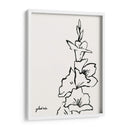 Gladiola Sketch Iv - Grace Popp | Cuadro decorativo de Canvas Lab