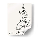 Gladiola Sketch Iv - Grace Popp | Cuadro decorativo de Canvas Lab