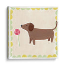 Dachshund Delight I - June Erica Vess | Cuadro decorativo de Canvas Lab