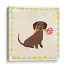 Dachshund Delight Iv - June Erica Vess | Cuadro decorativo de Canvas Lab