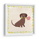 Dachshund Delight Iv - June Erica Vess | Cuadro decorativo de Canvas Lab