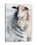 Acuarela Oveja Ii - Jennifer Paxton Parker | Cuadro decorativo de Canvas Lab